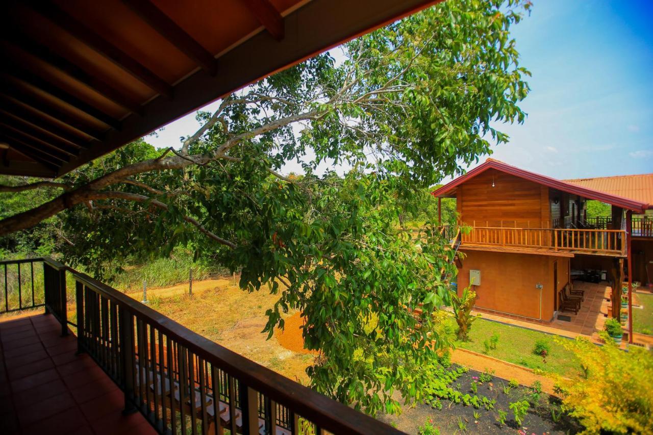 Jungle Hut Resort Sigiriya Eksteriør bilde